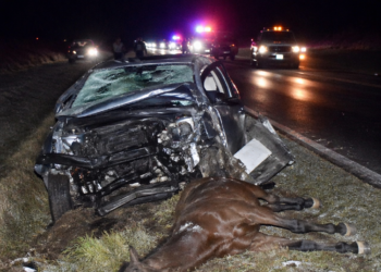 Trágico accidente en la Ruta 38: motociclista pierde la vida tras chocar con un caballo
