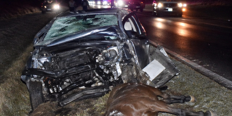 Trágico accidente en la Ruta 38: motociclista pierde la vida tras chocar con un caballo