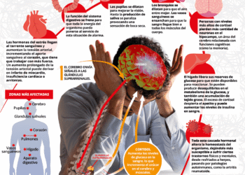 El cuerpo habla: tres señales sutiles del estrés que a menudo se pasan por alto