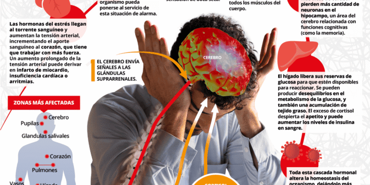 El cuerpo habla: tres señales sutiles del estrés que a menudo se pasan por alto