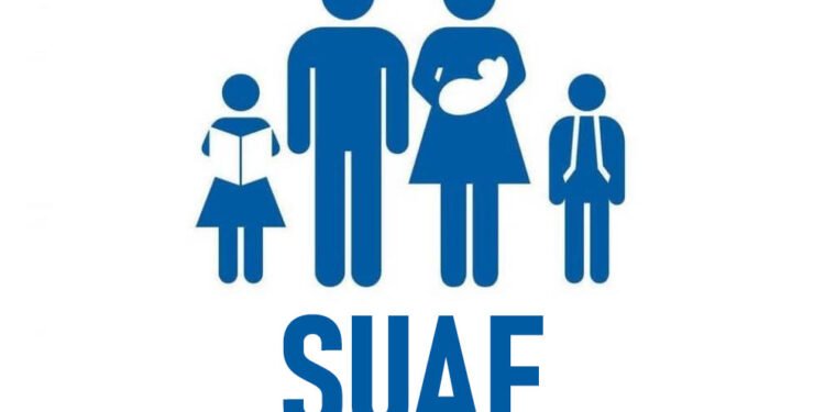 Actualización del límite de ingresos del SUAF: cambios en las asignaciones familiares de ANSES