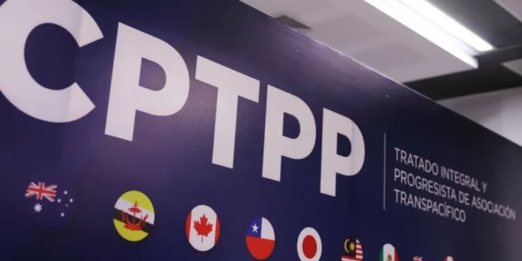 Argentina avanza hacia el Tratado Transpacífico: oportunidades y desafíos económicos