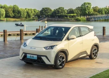 El impacto de las marcas chinas en el mercado de autos 0 km en Argentina