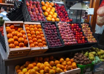Aumento en la oferta de frutas importadas en las verdulerías: principales variedades y sus causas