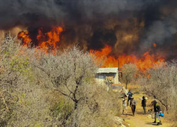 Seis meses tras el incendio en Epuyén: vecinos organizan la transformación de la tragedia en prevención