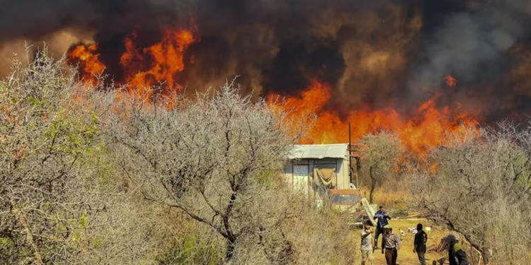 Seis meses tras el incendio en Epuyén: vecinos organizan la transformación de la tragedia en prevención