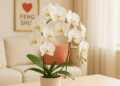 La planta ideal para atraer buenas energías y armonizar el hogar, según el Feng Shui