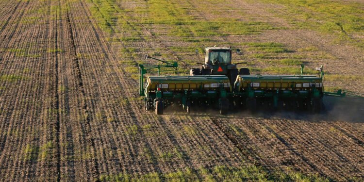 La siembra de trigo y cebada cayó 6% en el sur bonaerense por el clima y los márgenes ajustados