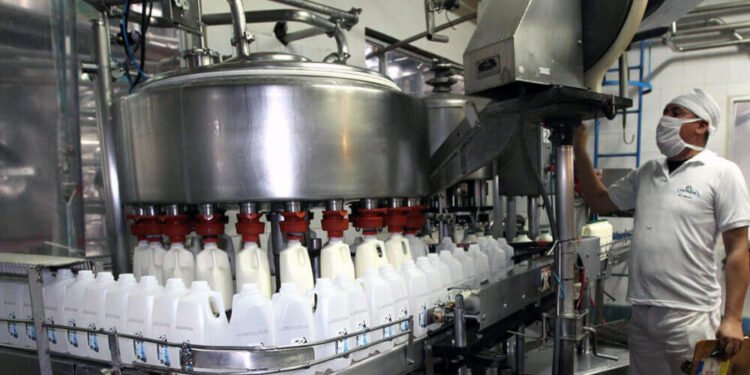 Transformaciones en la industria láctea argentina: nuevos dueños y el cierre de empresas históricas