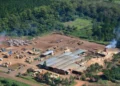 La Justicia decretó la quiebra de Linor SRL, uno de los principales productores de pallets del país