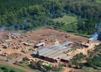 La Justicia decretó la quiebra de Linor SRL, uno de los principales productores de pallets del país