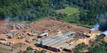 La Justicia decretó la quiebra de Linor SRL, uno de los principales productores de pallets del país