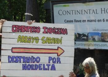 Controversia en Nordelta: un vecino fue grabado disparando contra carpinchos